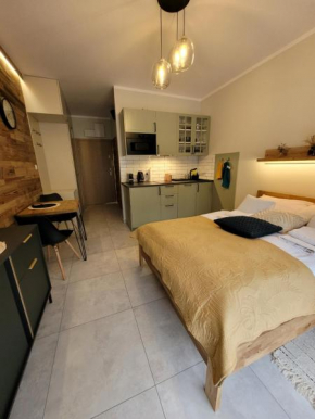Widok na las, Pod Reglami studio Szklarska Poręba